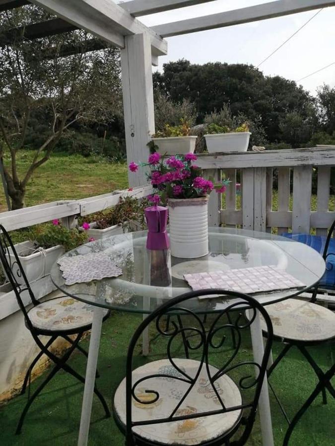 Eucaliptus Farm Retreat Guest House Санта Тереза Галура Екстериор снимка