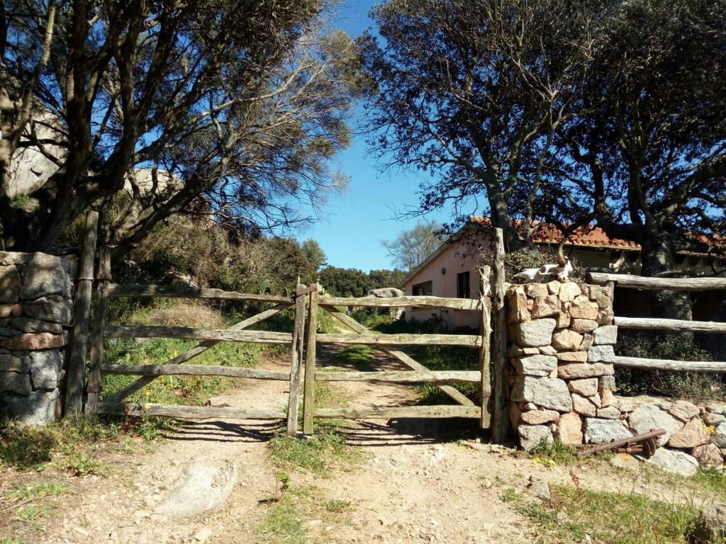 Eucaliptus Farm Retreat Guest House Санта Тереза Галура Екстериор снимка